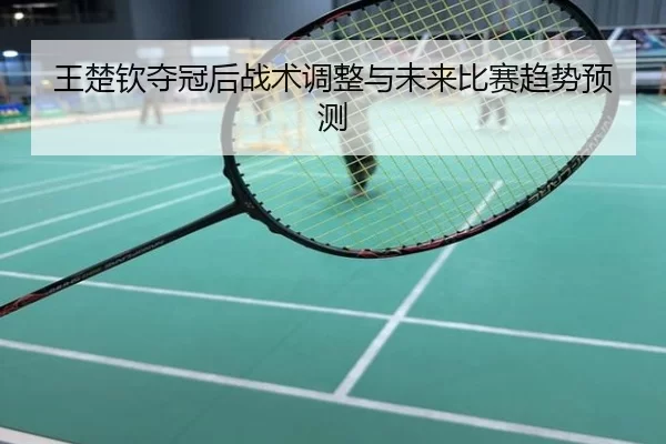 王楚钦夺冠后战术调整与未来比赛趋势预测
